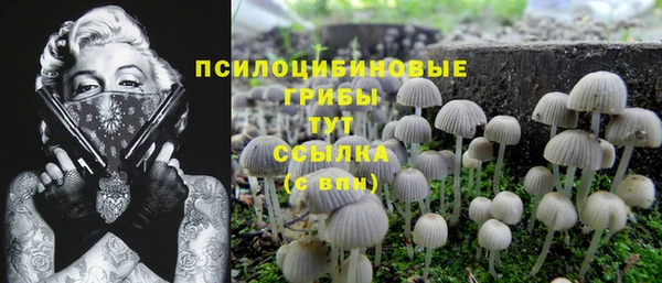 2c-b Липки