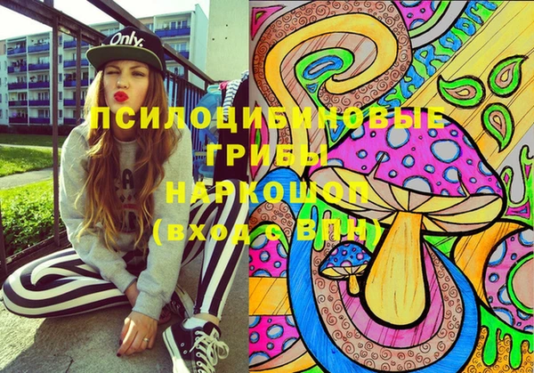 СК Лиски