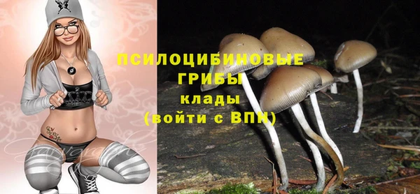 МДМА Медвежьегорск